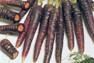 5 интересных фактов о моркови
