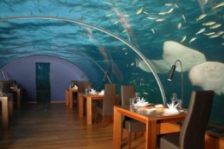 Самые красивые рестораны мира ресторан Itha на Мальдивских островах