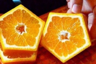 Необычные японские апельсины